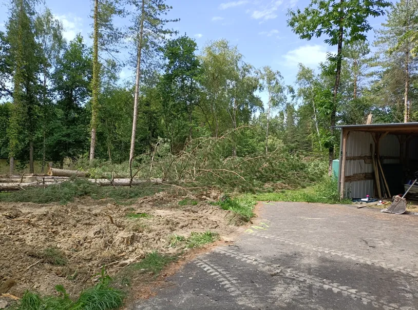 before-image